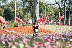 BIB: 
                            <button type="button" onclick="openModal(27344257)" class="btn btn-primary btn-sm float-right btn-popup" data-toggle="modal" data-target=".modal-high-quality">
                        <i class="fas fa-shopping-cart"></i> Add to Cart
                    </button>
                                            <button type="button" onclick="isThisMe(27344257, true)" class="btn btn-success btn-sm float-right btn-popup btn-isme hidden" data-toggle="tooltip" data-placement="bottom" title="นี่คือรูปของคุณใช่ไหม คลิกที่นี่เพื่อเอาเข้าอัลบั้ม">
                        <i class="fas fa-plus"></i> Add to album
                    </button>
                    <button type="button" onclick="isThisMe(27344257, false)" class="btn btn-warning btn-sm float-right btn-popup btn-isnotme hidden">
                        <i class="fas fa-ban"></i> Remove from album
                    </button>